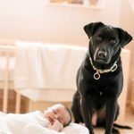 B9511b56 fdf1 4729 8ca5 841e1e978818