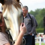 602bfc50 228e 4c93 a277 7d95646a2505