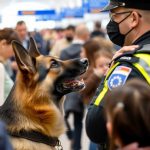 40cafa58 d985 45bc 8da2 201e8da2b138