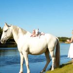 94a87c7e 01df 4fe9 b790 46a55976f807